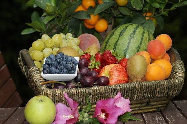 Cultiver ses propres fruits : un guide facile